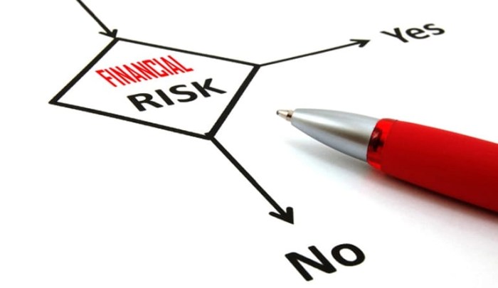 Risk management tools framework project model integrated exhibit financial business ca plan example communication canada sct gc tbs assignment finance